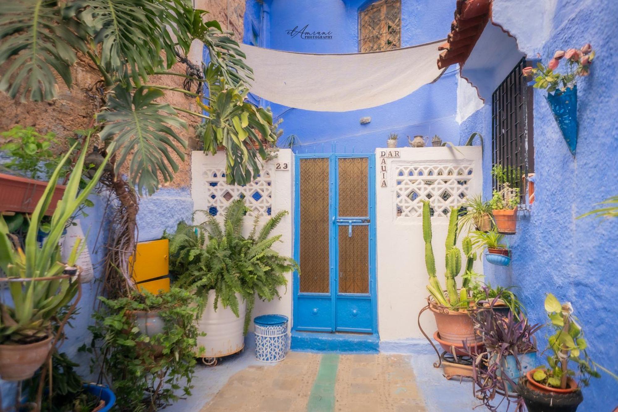 Dar Dauia Apartment Chefchaouen Exterior photo